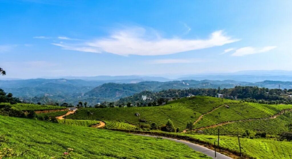 Places to Visit Munnar