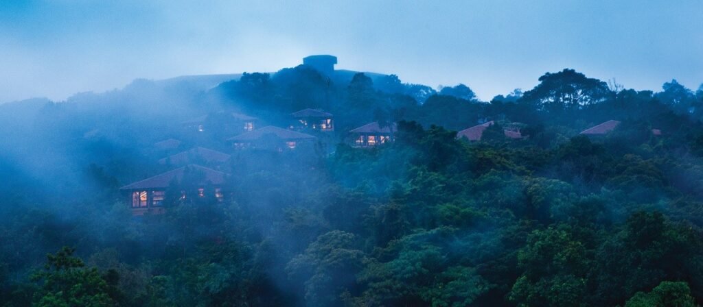 Discover the Beauty of Coorg