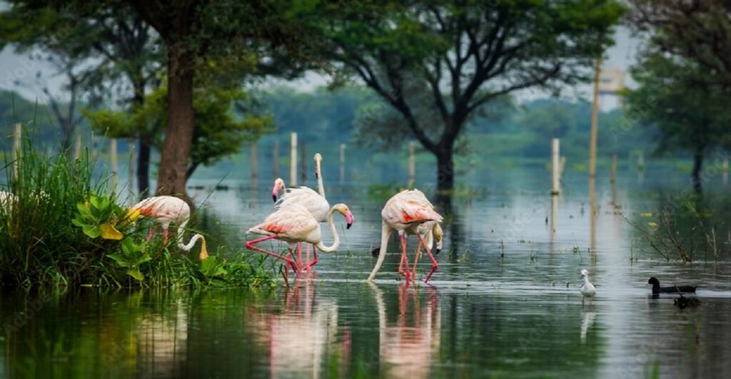 Places To Visit in Bharatpur