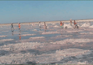 Sambhar Lake